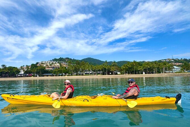 Half Day Kayak Turtle Tour - A Detailed Look at the Experience