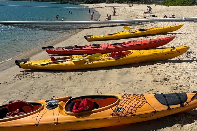 Half Day Kayak Turtle Tour - Who Should Consider This Tour?