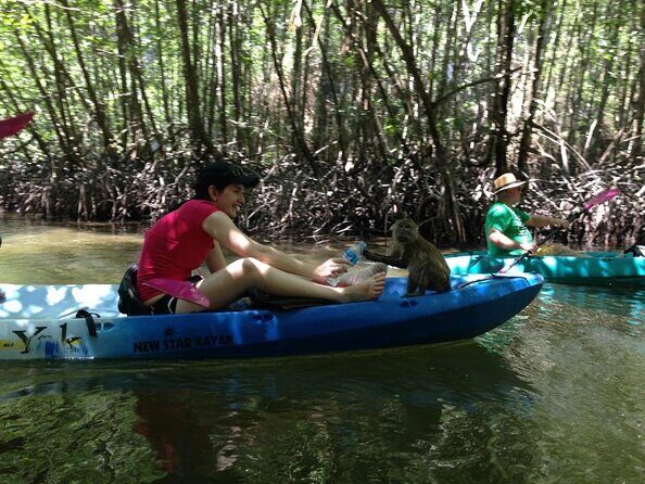 Half Day Kayaking at Ao Thalane Krabi - An In-Depth Look at the Tour Experience