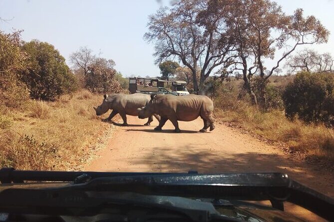 Half Day Kruger Open Vehicle Safari from Marloth Park - Final Thoughts