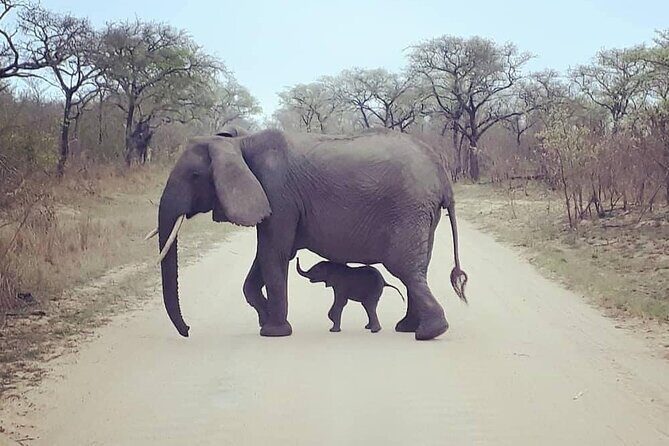 Half Day Kruger Open Vehicle Safari from Marloth Park - FAQs