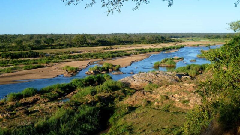Half-Day Kruger Park Safari | Pickup & Drop-off Marloth Park - Key Points