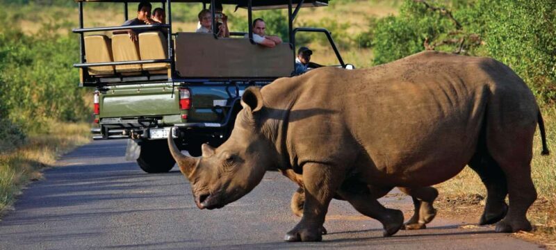 Half-Day Kruger Park Safari | Pickup & Drop-off Marloth Park - The Sum Up: Who Will Love This Safari?