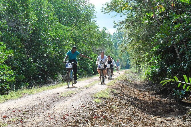 Half-Day Lagoon and Village Cycling Tour in Galle - An In-Depth Look at the Lagoon and Village Cycling Tour