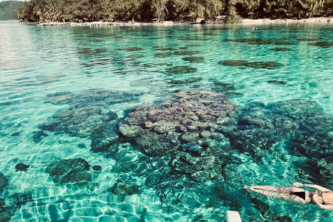 Half day lagoon safari tour in Bora Bora- Shared tour - Practical Tips for a Great Experience