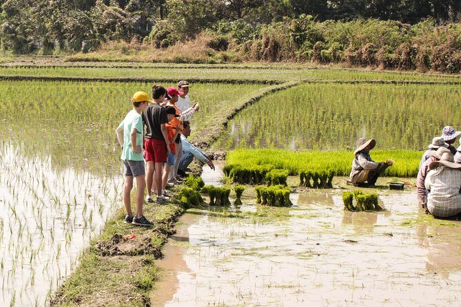 Half-Day Lanna Countryside Cycling Tour in Chiang Mai - A Closer Look at the Itinerary