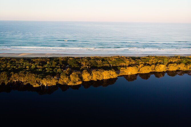 Half Day Learn to Surf Tour From Byron - Authentic Experiences and Honest Feedback