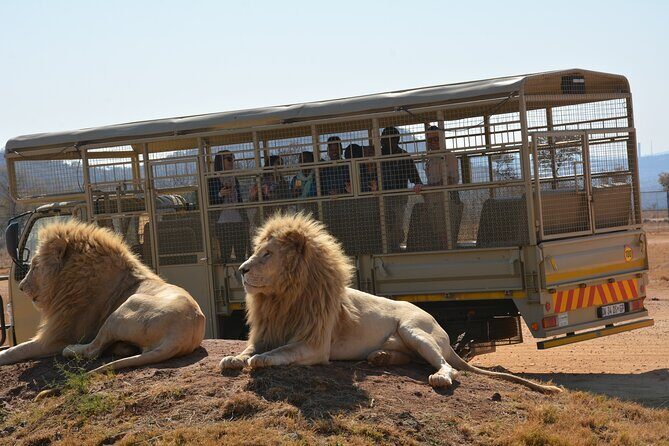Half Day Lion Park tour from Johannesburg or Pretoria - Who Will Love This Tour?