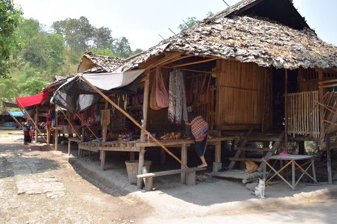 Half Day Long Neck hill tribe and Elephant POOPOOPAPER Park (Private Tour) - What Could Be Improved?
