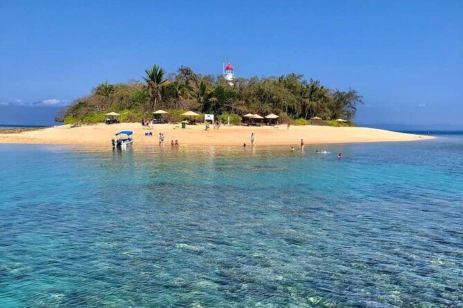 Half Day Low Island and Lagoon Snorkeling from Port Douglas - The Itinerary in Detail