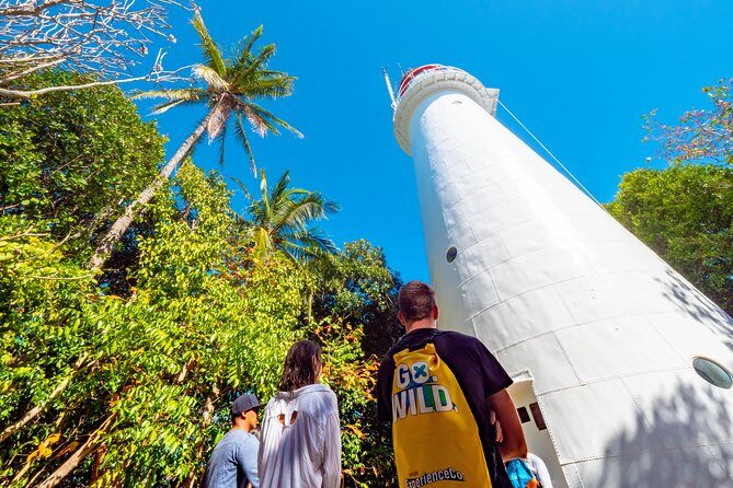 Half Day Low Isles Snorkelling Tour from Port Douglas - Introduction