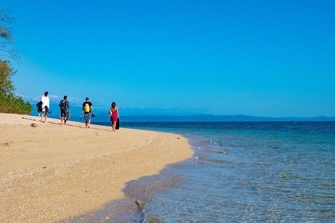 Half Day Low Isles Snorkelling Tour from Port Douglas - Key Points