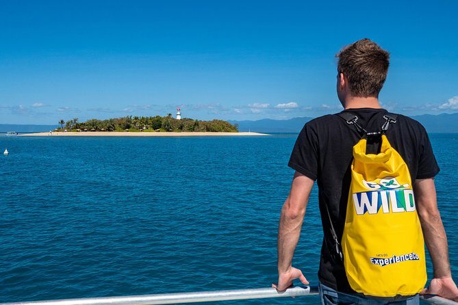 Half Day Low Isles Snorkelling Tour from Port Douglas - What Makes This Tour Special?