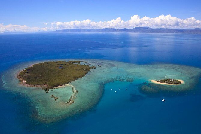 Half Day Low Isles Snorkelling Tour from Port Douglas - Who Should Consider This Tour?
