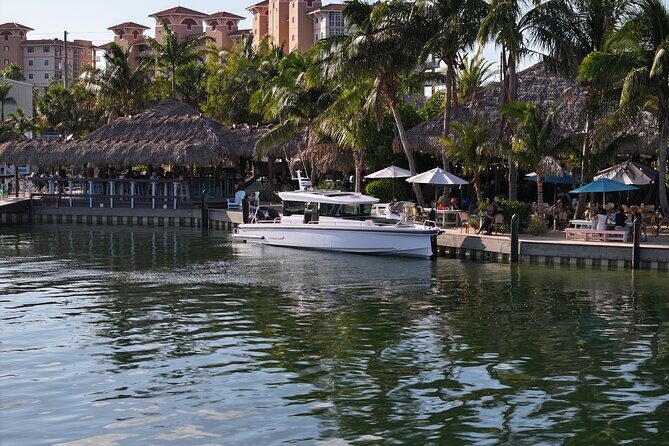 Half Day Luxury Boat Tour in Tampa with Snorkeling - The Experience of a Guide-Led Tour