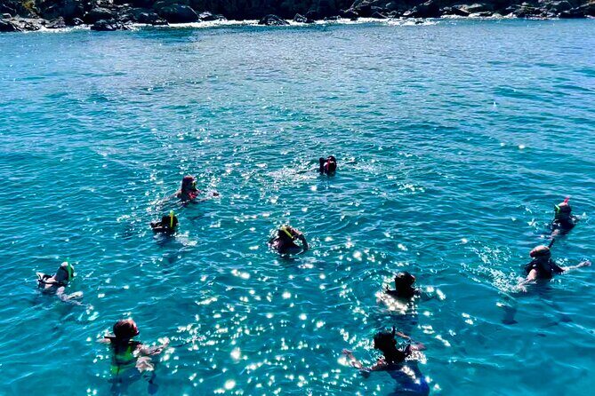 Half Day Luxury Catamaran Turtle Snorkel And Beach - What’s Included and What’s Not