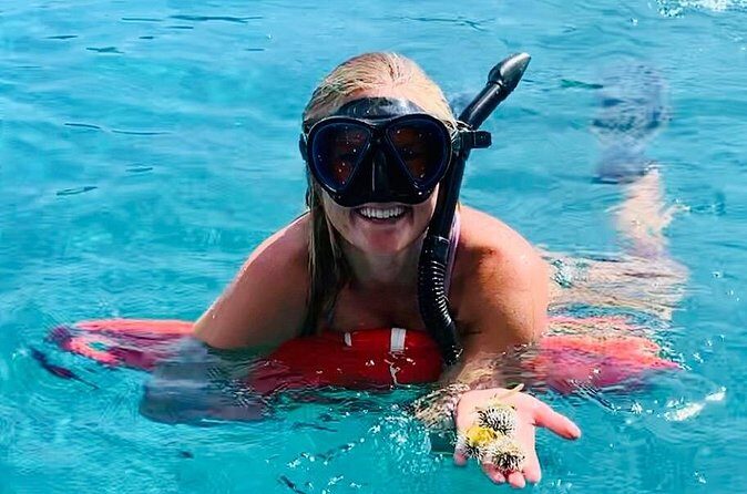 Half Day Luxury Catamaran Turtle Snorkel And Beach - Analyzing the Value