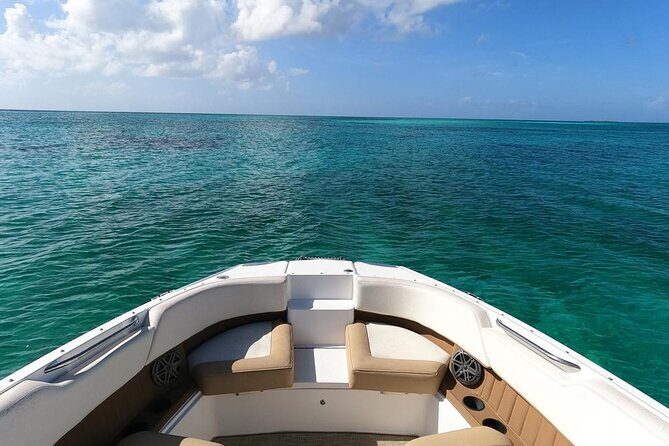 Half-Day Luxury Private Rose Island Pigs and Turtles Excursion - Authentic Experiences and Reviews