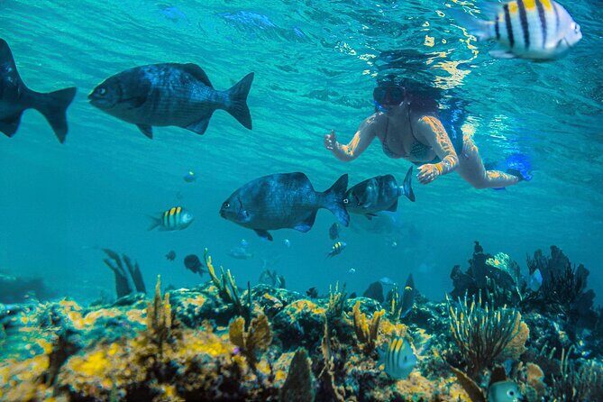 Half-Day Luxury Sailing in Puerto Morelos with Open Bar - Final Thoughts