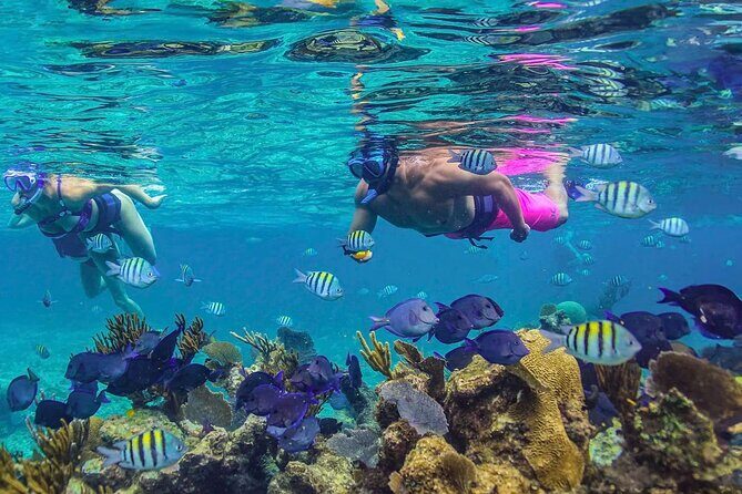 Half-Day Luxury Sailing in Puerto Morelos with Open Bar - FAQ