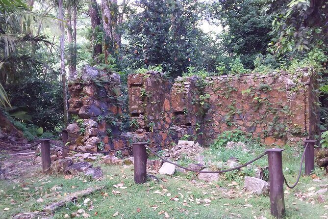 Half-Day Mahe private Tour - The Sum Up: Is This Tour Worth It?