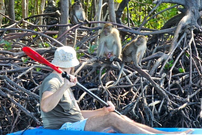 Half Day Mangrove and Lanta Old Town Tour - Whats Included and What to Expect