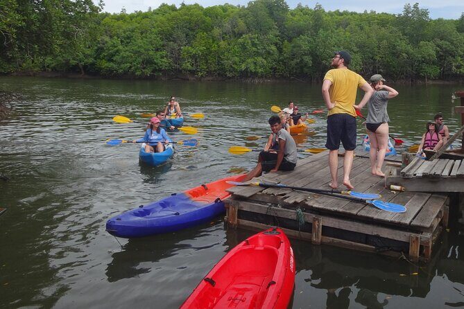 Half day Mangrove by Kayaking or Longtail boat from Koh Lanta - The Value for Money