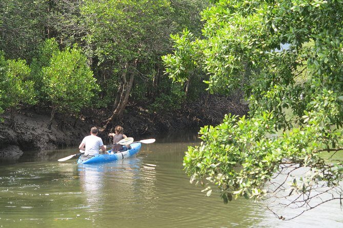Half day Mangrove by Kayaking or Longtail boat from Koh Lanta - Final Thoughts
