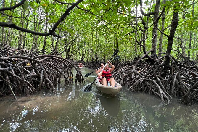 Half-Day Mangrove Kayaking in Langkawi - Why This Tour Offers Great Value