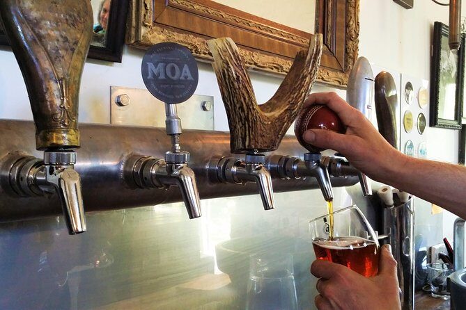 Half-Day Marlborough Wine Tour & Beer Tour - The Guides: Knowledgeable and Approachable