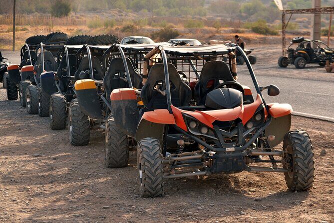 Half Day Marrakech Buggy Adventure - Final Thoughts