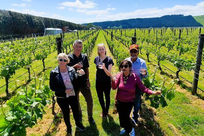 Half Day Martinborough Winery Tour from Wellington - The Optional Lunch and Additional Stops