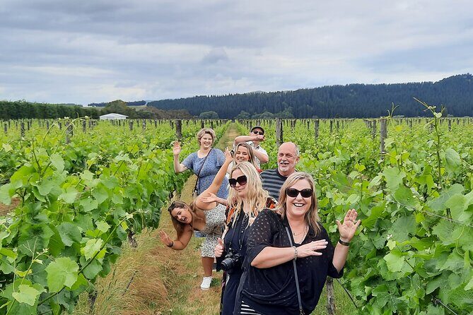 Half Day Martinborough Winery Tour from Wellington - The Small Group Experience