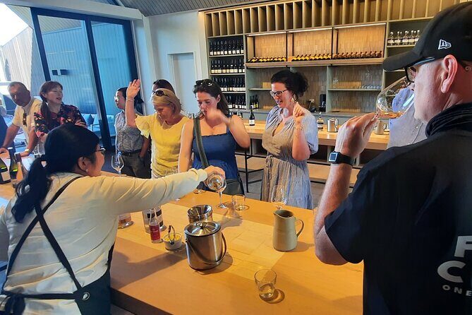 Half Day Martinborough Winery Tour from Wellington - Final Thoughts on the Experience