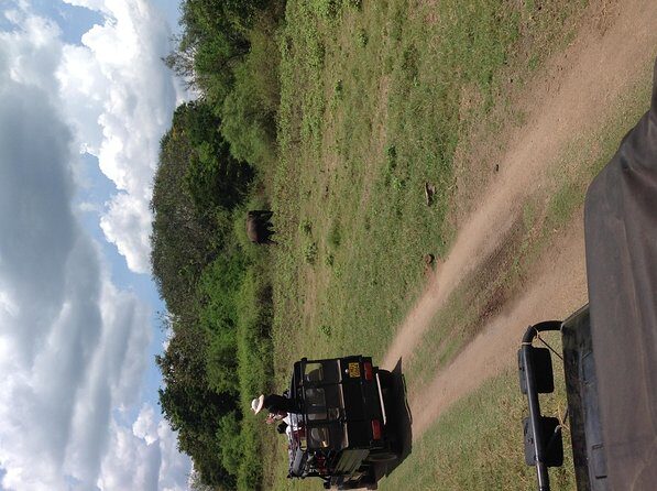 Half Day - Minneriya National Park Safari Tour From Habarana/Sigiriya - A Detailed Look at the Experience
