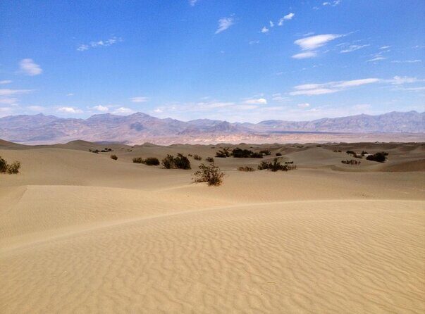 Half-Day Mojave Desert ATV Tour from Las Vegas - The Itinerary in Detail: What to Expect