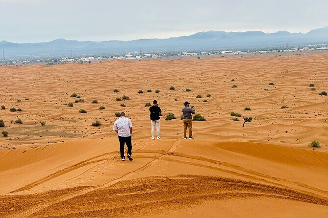 Half-Day Morning Desert Safari in Dubai - Final Thoughts: Is It Right For You?
