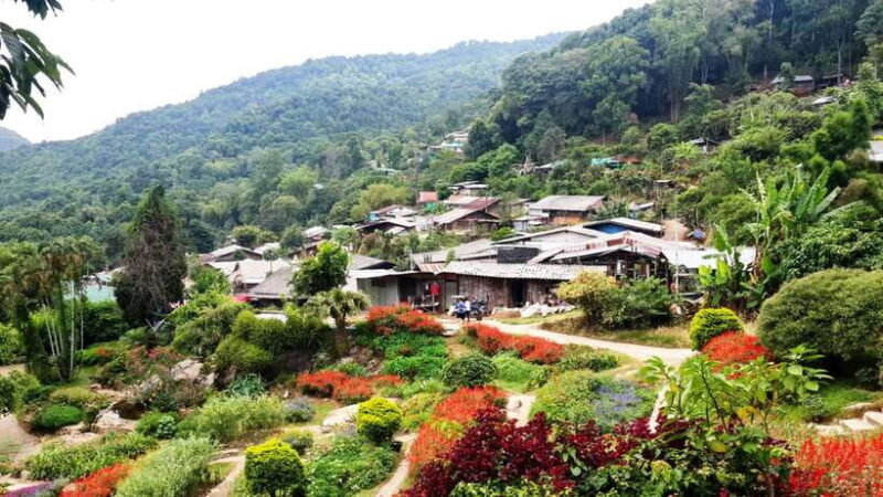 Half Day Morning Doi Suthep & Doi PUI MEO Village with Guide - Why This Tour Stands Out