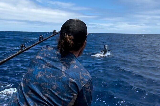Half Day Morning Fishing Charter - An Honest Look at the Half Day Morning Fishing Charter on Big Island