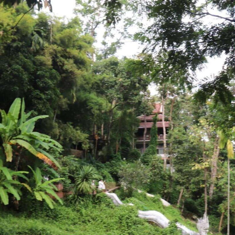 Half Day Morning Wat Pha Lat & Wat Phra That Doi Suthep Tour - Practical Tips for Travelers