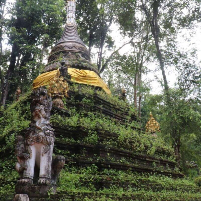 Half Day Morning Wat Pha Lat & Wat Phra That Doi Suthep Tour - Final Thoughts