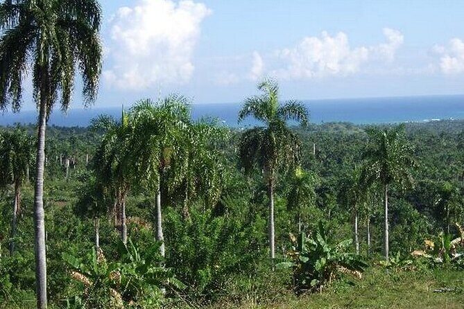 Half-Day Mountain Ride in Puerto Plata - Final Thoughts