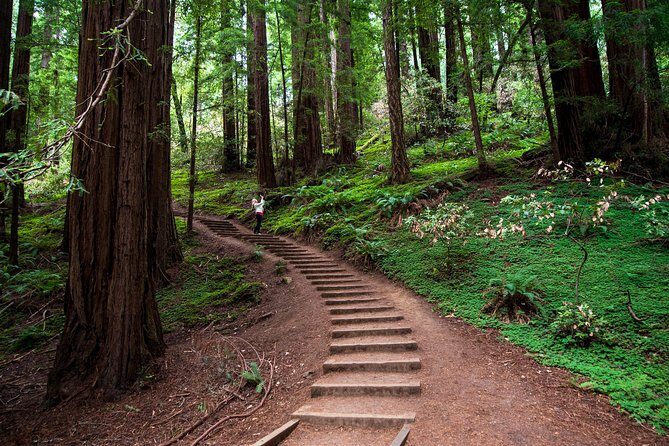 Half-Day Muir Woods & Sausalito Tour with Entry Ticket Included - Introduction