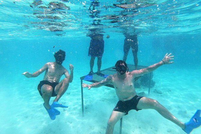 Half-Day Muri Lagoon BBQ Lunch Cruise including Snorkeling - Exploring the Muri Lagoon BBQ Lunch Cruise: An Authentic Rarotonga Adventure