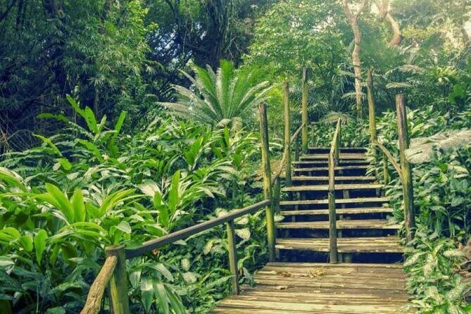 Half Day Nadi Tour incls Sri Siva Temple, Orchid Gardens,Local Village & Markets - Practical Tips for Travelers