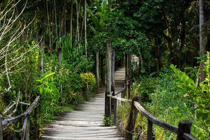 Half Day Nadi Tour incls Sri Siva Temple, Orchid Gardens,Local Village & Markets - Final Thoughts: Who Is This Tour Best For?