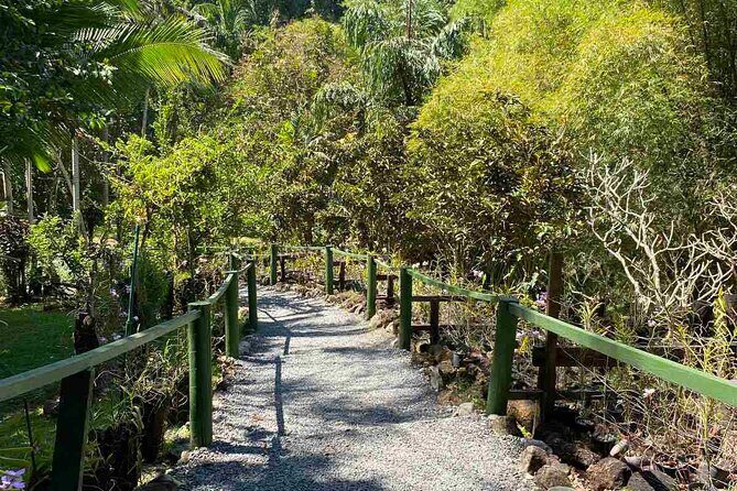 Half Day Nadi Tour Temple, Market, Gardens and Mud Pools - What’s Included and What’s Not