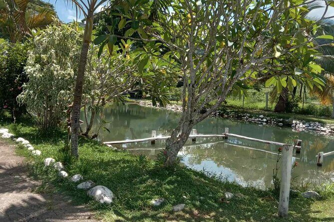 Half Day Nadi Tour Temple, Market, Gardens and Mud Pools - Real Traveler Perspectives