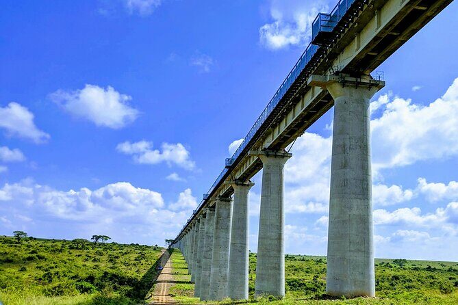 Half Day Nairobi National park - What Makes This Tour Stand Out