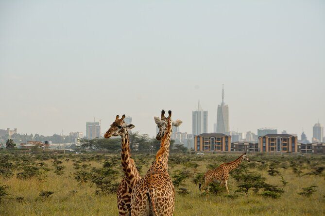 Half-Day Nairobi National Park and Maasai Market with Pick up - Final Thoughts: Is This Tour Worth It?